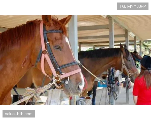 富里睡醒发现自家马场又多两匹新马，这日子过得比电影还离谱